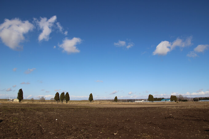 北海道の畑